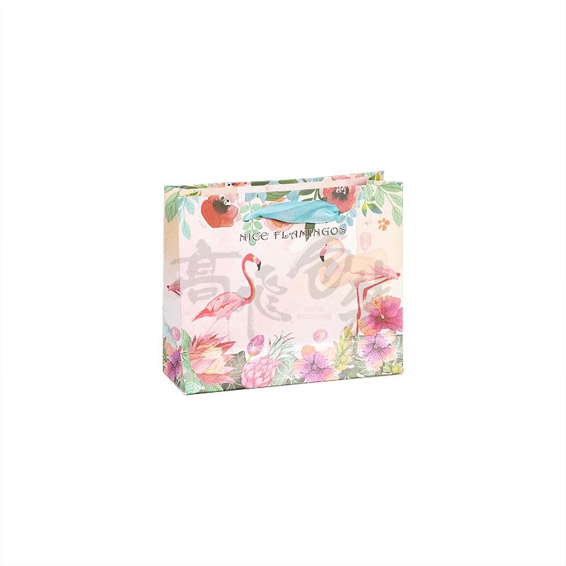 Laminated printed die cut packaging paper shopping bags for clothes