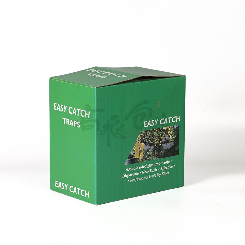 custom corrugated cardboard mailer skin care display paper box wholesale