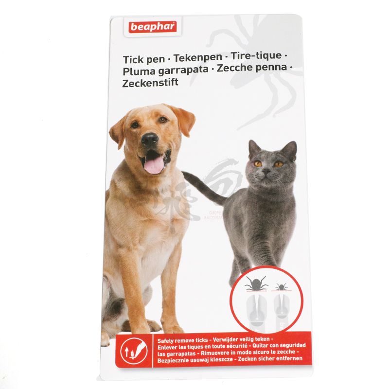 Custom Design Logo Colored Pet Toy Card Manufacturers