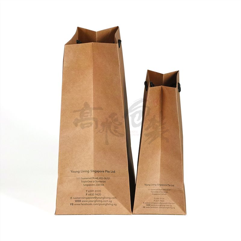 Recycled brown kraft paper bag with your own logo for shopping