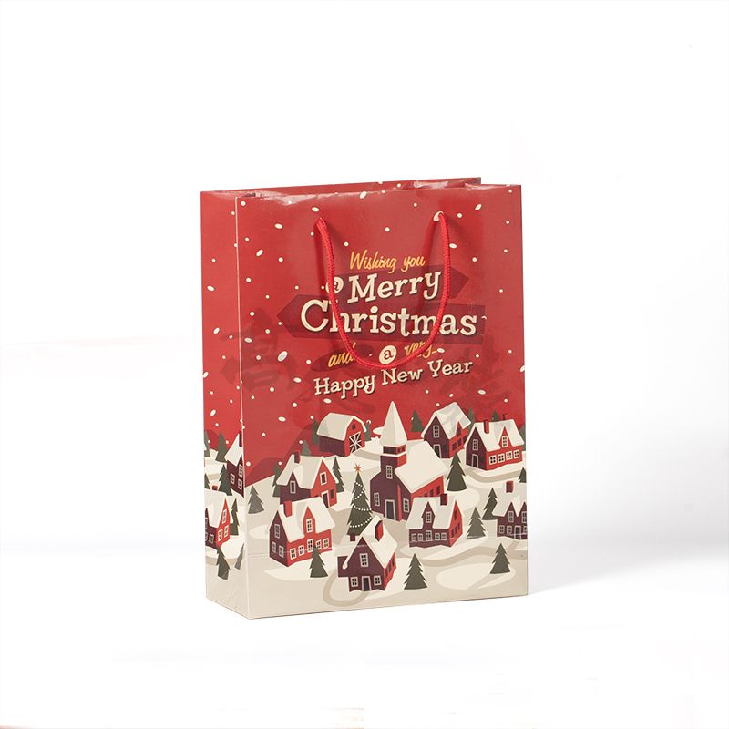 China Factory Wholesale Custom luxury Paper Gift Bag With Handles.jpg