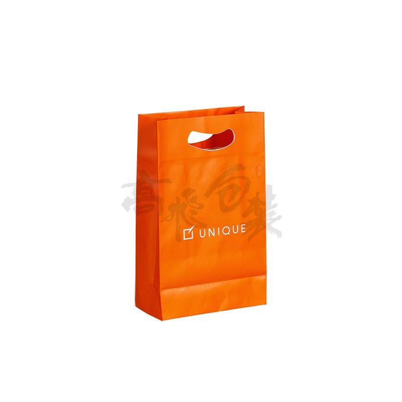 Luxury Cheap Custom Design Shopping With Your Own Logo small kraft paper bags