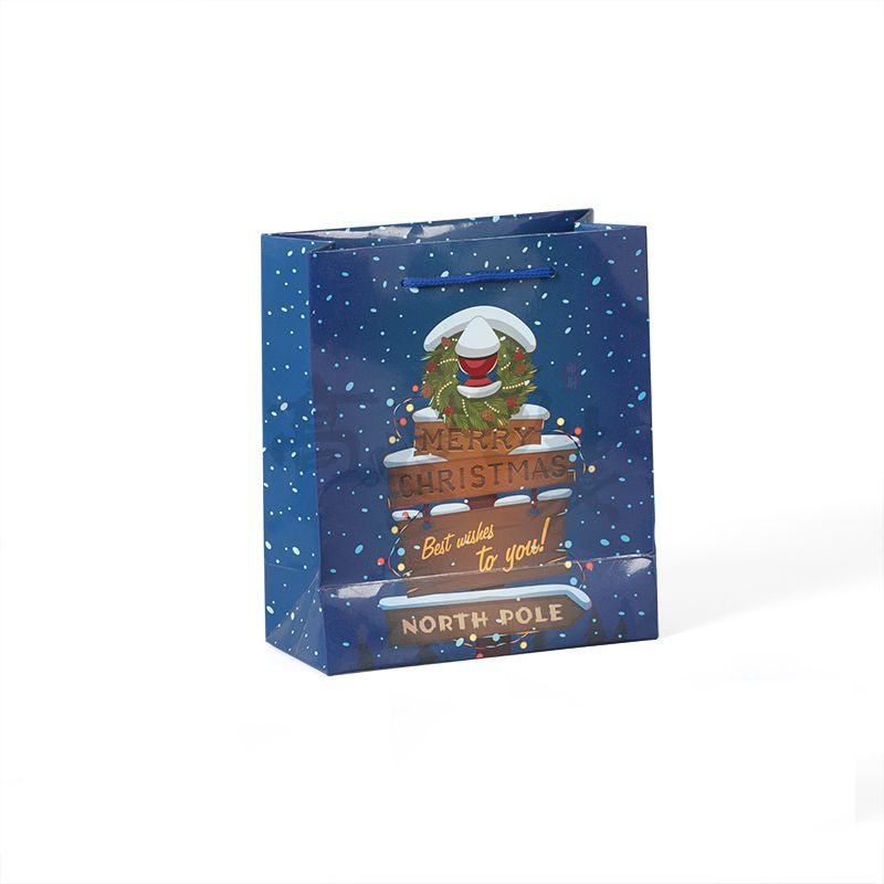 Custom Print With Logo Recycled 210gsm Art Coated Paper Shopping Bags With Handles