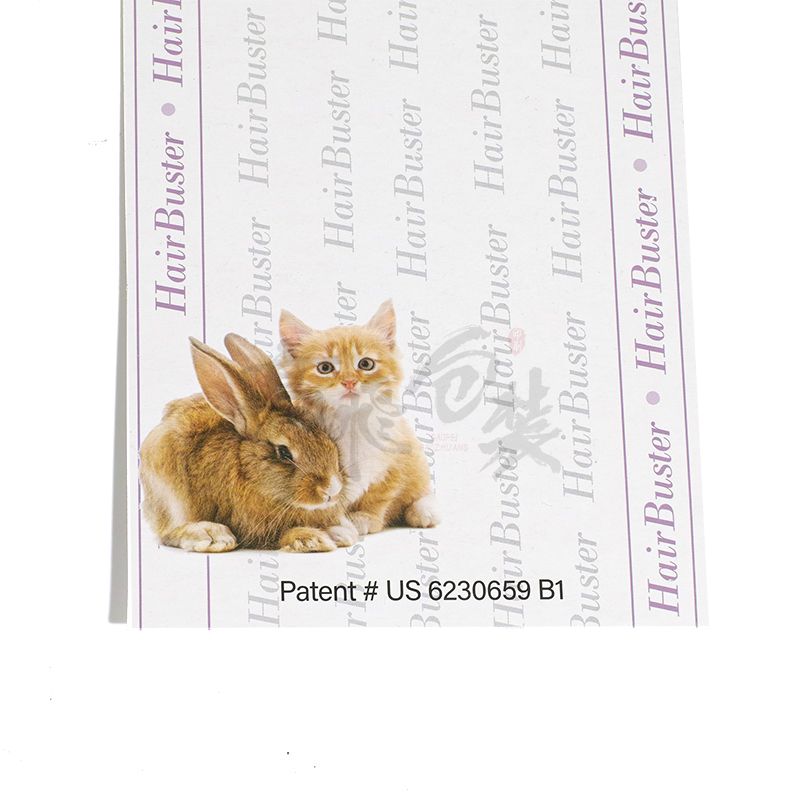 Custom OEM Service Design Logo Colored Pet Toy Card Manufacturers