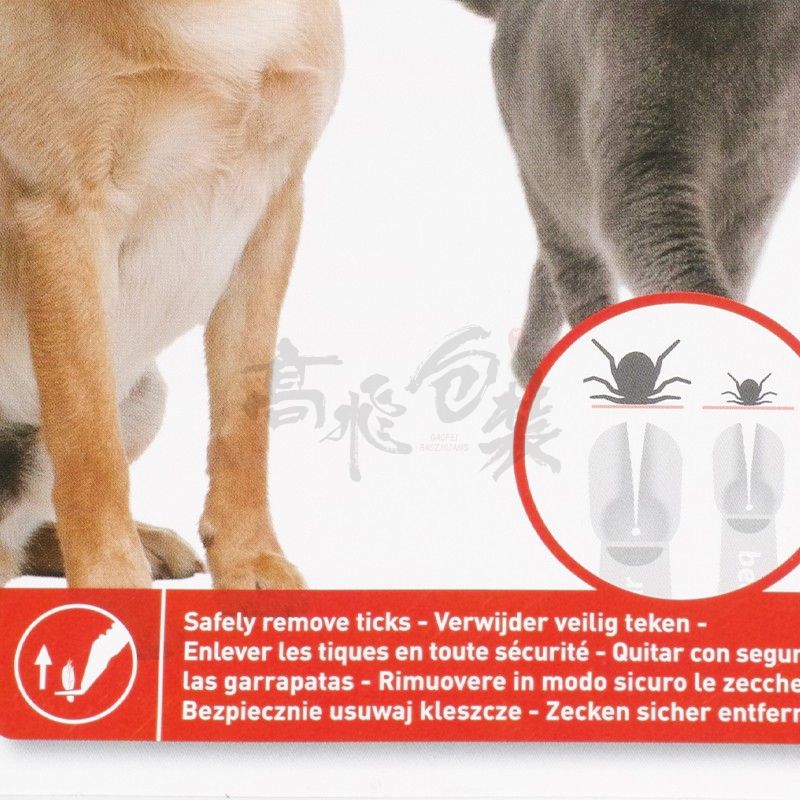 Custom Design Logo Colored Pet Toy Card Manufacturers